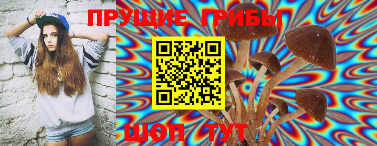 где купить наркоту  Вход с VPN  Рузаевка  Галлюциногенные грибы GOLDEN TEACHER 